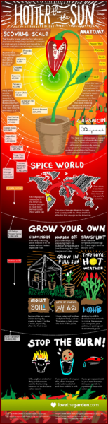 chillies