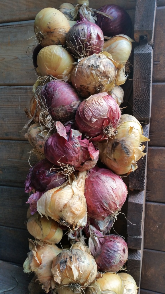 French Onions