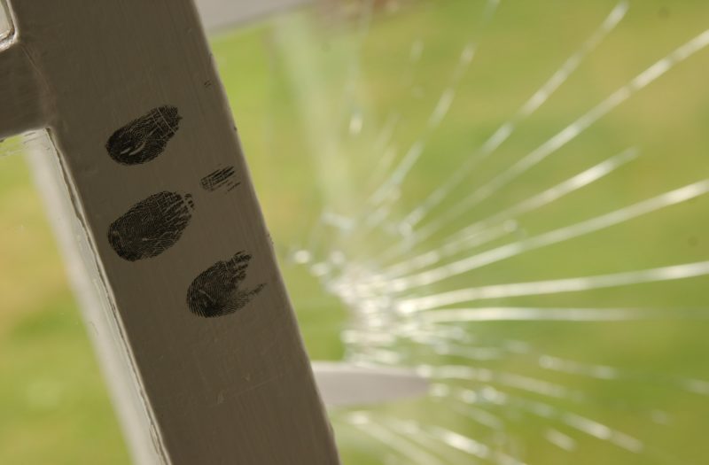 Keep-your-home-safe-paw-print-on-fence