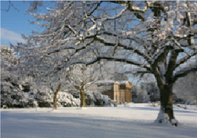 Tatton-Park-in-the-snow