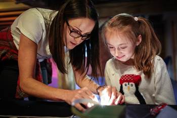 Light up the holidays - Christmas at the Museum of Science and Industry