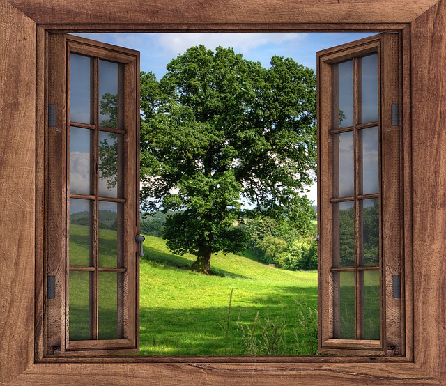 Tips to keep your house clean windows